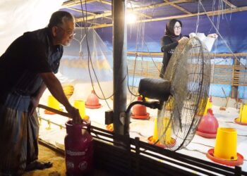 Pertama di Jatim, Berkat Mas Dhito Ratusan Peternak Beralih Elpiji Non Subsidi