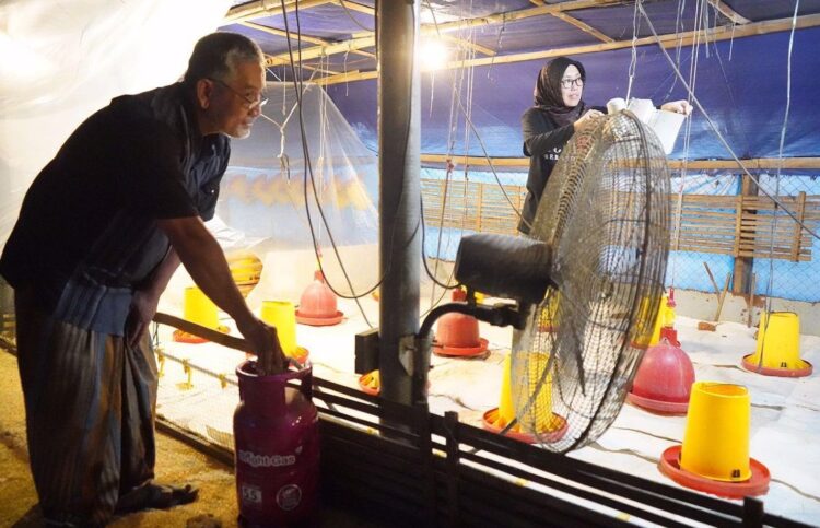 Pertama di Jatim, Berkat Mas Dhito Ratusan Peternak Beralih Elpiji Non Subsidi