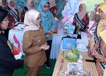 Wujudkan Generasi Blitar Sehat Dinas Kesehatan Gelar Festival Posyandu Balita