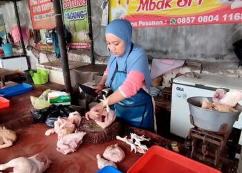 Harga Ayam Terus Tinggi, Pendapatan Pedagang Ayam Di Kota Kediri Turun