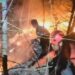 Gunung Orak-Arik Trenggalek Terbakar 