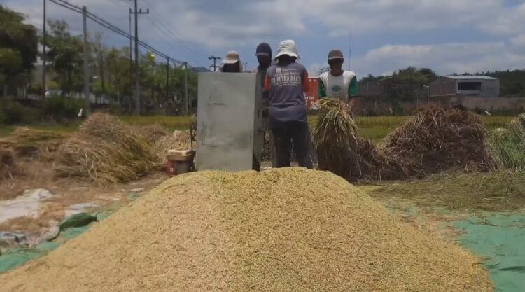 Harga Beras Naik, Pemkab Trenggalek Akan Gelar Operasi Pasar Dan Salurkan Bansos