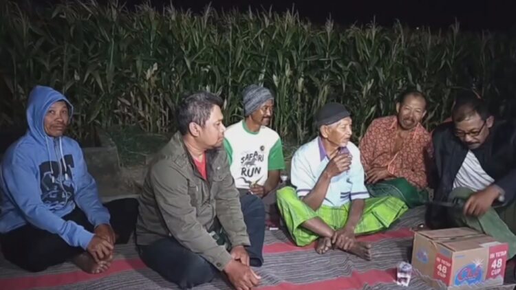 Antisipasi Pencurian Jagung, Puluhan Petani Di Nganjuk Ronda Hingga Dini Hari
