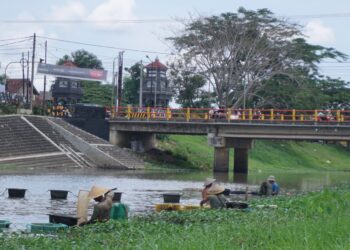 Sungai Tulungagung Tercemar Sedang, Limbah Rumah Tangga Salah Satu Penyebabnya
