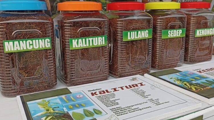 Kenalkan  Tembakau Lokal Dan Kopi Pemkab Blitar Gelar Festival Tembakau Dan Kopi