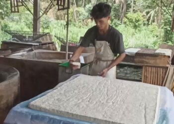 Kedelai Mahal Perajin Tahu Di Blitar Kelabakan