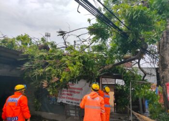 Hujan Disertai Angin Kencang Melanda Tulungagung Ratusan Bangunan Terdampak