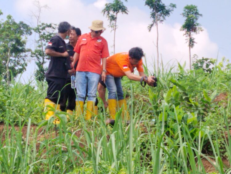 Cium Bau Busuk di Kebun Tebu, Petani Tulungagung Justru Temukan Mayat Pria Tanpa Identitas