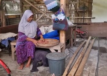 Nenek Sebatangkara Sedih Rumahnya Terancam Ambruk