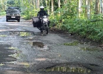 270 Kilometer Jalan Kabupaten Di Trenggalek Rusak Parah