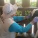 Curah Hujan Tinggi Membuat Hewan Ternak Mengalami Sakit (Foto: Beny Kurniawan)