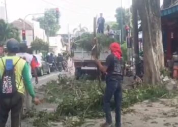 Antisipasi Pohon Roboh Saat Hujan Deras, DLHKP Kepras Pohon dipinggir Jalan