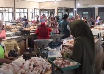Jelang Lebaran Harga Daging Ayam Terpantau Naik Sampai 37 Ribu Per Kilo