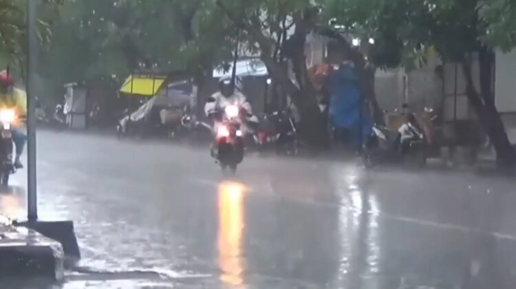 Curah Hujan Tinggi, Akibatkan Penyakit DB di Kota Kediri Terus Mewabah