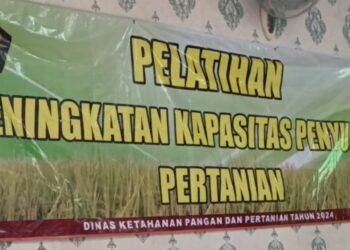 Berdayakan Ekonomi Kreatif  DKPP Kabupaten Blitar Gelar Pelatihan Seni Bonsai