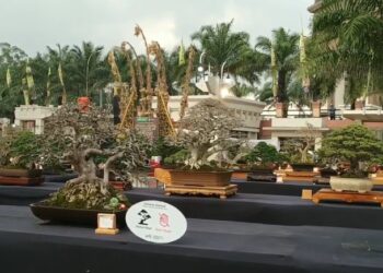 Ratusan Bonsai Meriahkan Kontes Bonsai Nasional Kediri