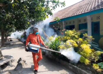 Tiga Siswa Terjangkit Demam Berdarah, Dinas Kesehatan Lakukan Fogging