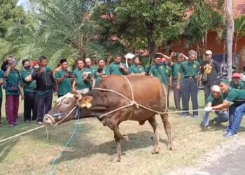 Pelatihan Penyembelihan Hewan Qurban Sesuai Syariat Islam di Kota Kediri