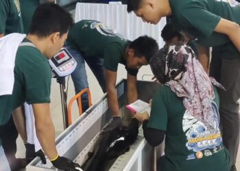 Lele Raksasa Ramaikan Kontes Ageng-Agengan Lele Di Kabupaten Kediri