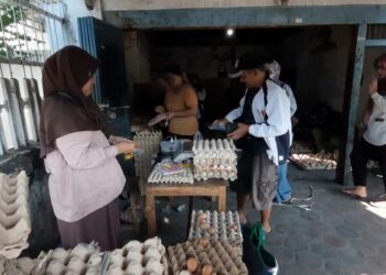 Harga Fluktuatif, Pedagang Telur Tidak Berani Menambah Stok Dagangan