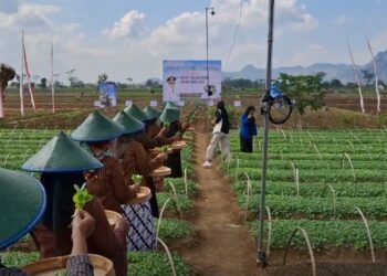 Cukai Naik, Permintaan Tembakau Oleh Pabrik Semakin Menurun, Apti Minta Kebijakan Pemerintah, Berpihak Pada Petani Tembakau