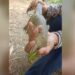 Pemancing Ikan Temukan Anak Buaya Di Sungai Ngasinan Trenggalek