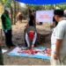 Ratusan Hewan Kurban Di Blitar Terkena Cacing Hati