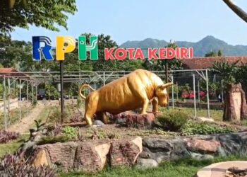RPH Kota Kediri Masih Sepi Pemesanan Tempat Penyembelihan Hewan Qurban