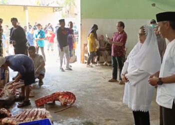 Pj Walikota Kediri Mengecek Penyembelihan Hewan Qurban di RPH