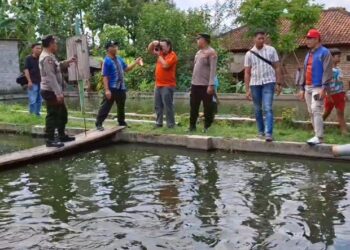2 Balita Tewas Tercebur Kolam Ikan Patin