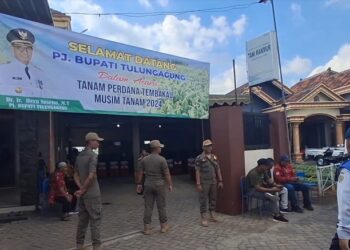 Harga Tembakau Tinggi, Pj Bupati Minta Petani Tak Latah Perluas Lahan Berlebihan di Tulungagung