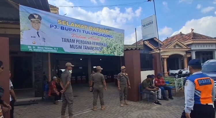 Harga Tembakau Tinggi, Pj Bupati Minta Petani Tak Latah Perluas Lahan Berlebihan di Tulungagung