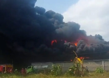 Peternakan Puluhan Ribu Ayam Terbakar Hebat, Kerugian Lebih Dari 1 Milyar Rupiah 