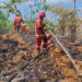 Di Duga Terkena Percikan Api Pembakaran Sampah, Gudang Limbah Pabrik Pengolahan Gula Merah Terbakar 