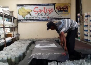 Musim Bediding, Breeding Ikan Cupang Banyak Yang Gagal