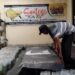 Musim Bediding, Breeding Ikan Cupang Banyak Yang Gagal