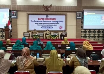 Tekan stunting DP3A PPKB Kab. Blitar Gelar Rakor TPPA