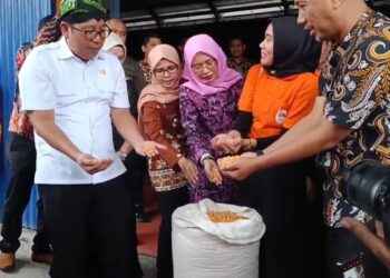 Suplay Peternak Bulog Blitar Datangkan Ribuan Ton Jagung dari Luar Jawa