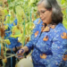 Panen Melon Di Kampung Tani Taman Kleco