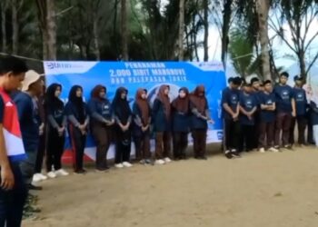 Penanaman Ribuan Mongrove dan Evakuasi Puluhan Telur di Taman Kili-Kili Trenggalek