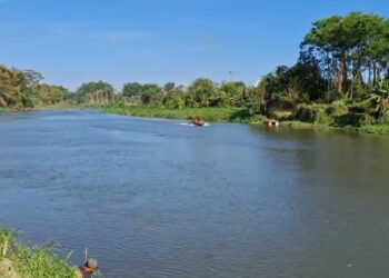 Berenang, Remaja di Tulungagung Hanyut dan Tenggelam, di Sungai Berantas
