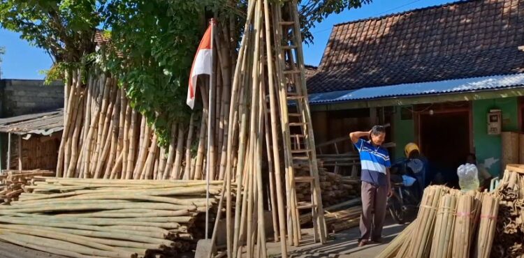 Berkah Bulan Peringatan Hari Kemerdekaan, Penjual Bambu Umbul-Umbul Di Tulungagung Ramai Pembeli
