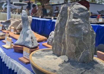 Suiseki, Seni Menghargai Batu Estetik Bentukan Alam Dengan Potensi Ekonomi Menjanjikan