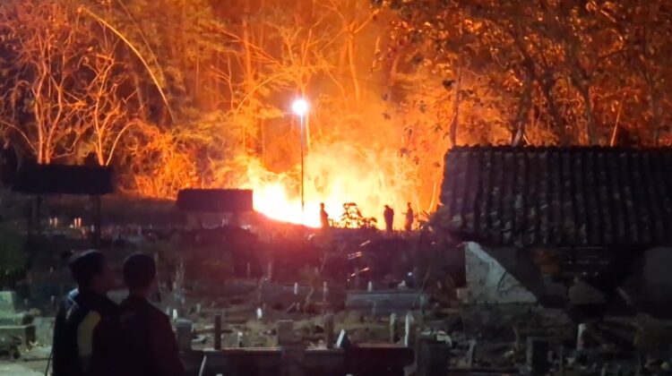 Hektaran Lahan Jati Milik Perhutani Di Tulungagung Terbakar