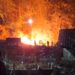 Hektaran Lahan Jati Milik Perhutani Di Tulungagung Terbakar