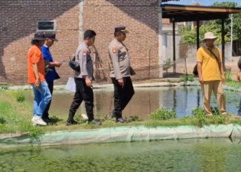 Lansia Tewas, Tenggelam di Kolam Ikan Patin