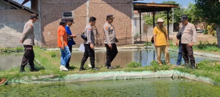 Lansia Tewas, Tenggelam di Kolam Ikan Patin