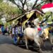 Lestarikan Transportasi Zaman Dahulu Agar Tidak Punah, Puluhan “Bajingan” Ikuti Parade Cikar Di Kawasan Wisata SLG Kabupaten Kediri