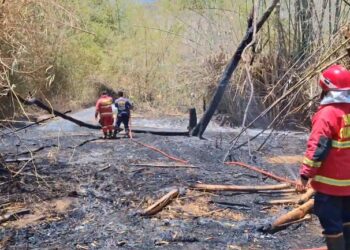 Kebakaran Lahan Jati, Nyaris Merembet Ke Lokasi  Pabrik Industri Kerajinan Batu