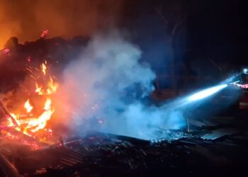 Kandang Berisi Sapi Dan Kambing Di Tulungagung Ludes Terbakar